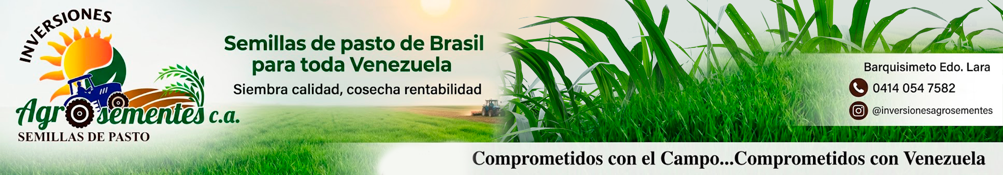Agrosementes