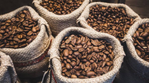 Café se consolida como el principal rubro de exportación del estado Lara