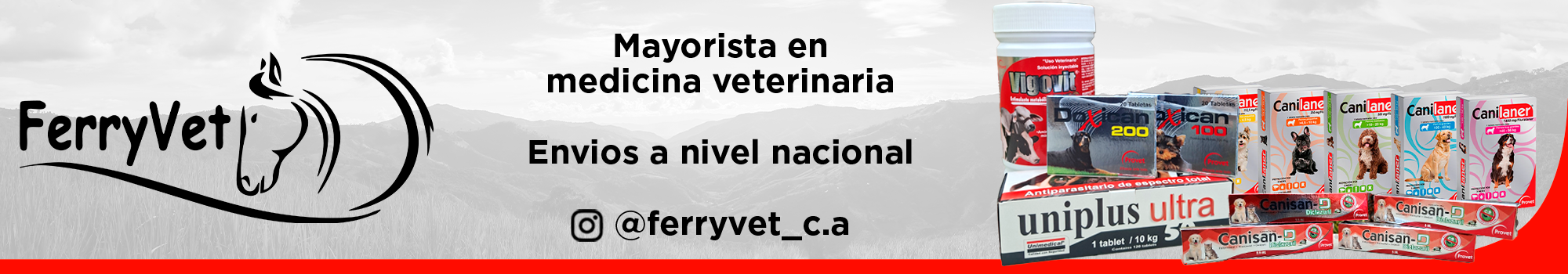 FERRYVET